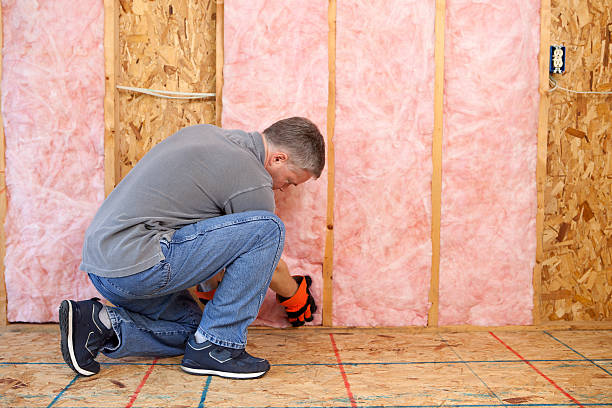 Best Insulation Maintenance and Repair in West Wyoming, PA
